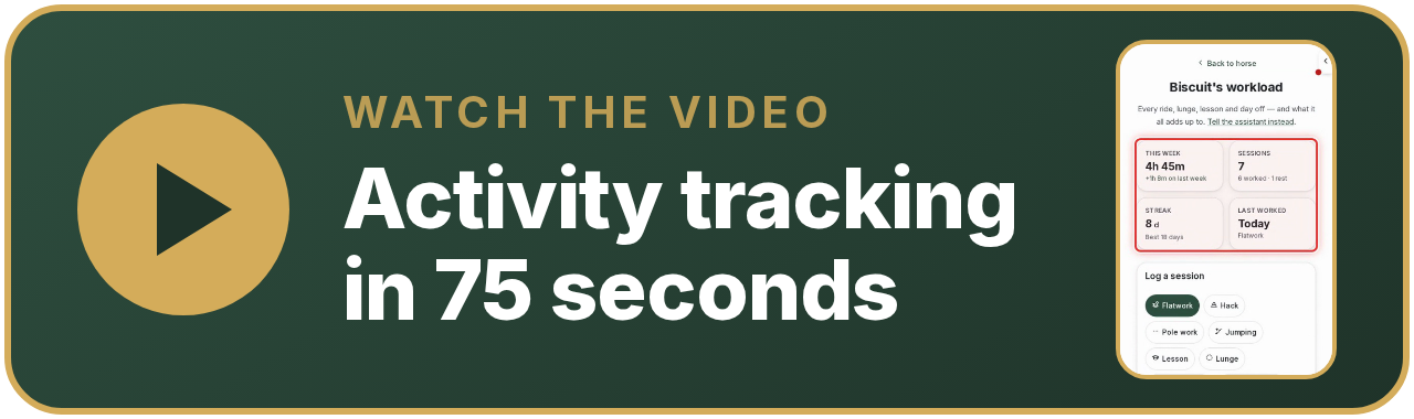 Watch the video
