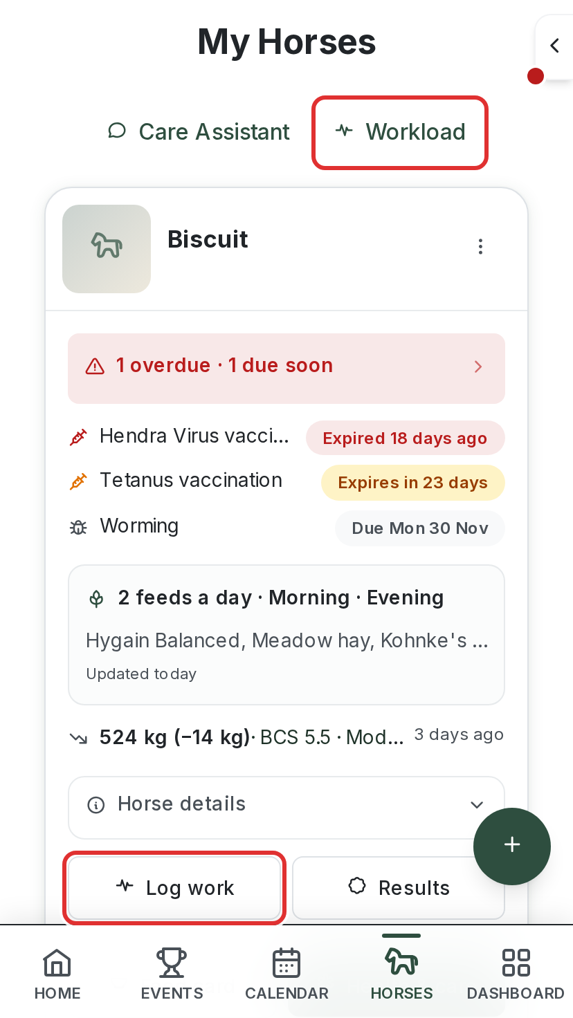 My Horses on a phone with the Workload link and the Log work button highlighted