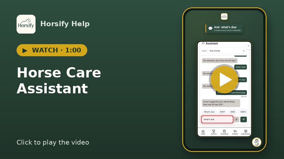 Watch: Horse Care Assistant (1:00)
