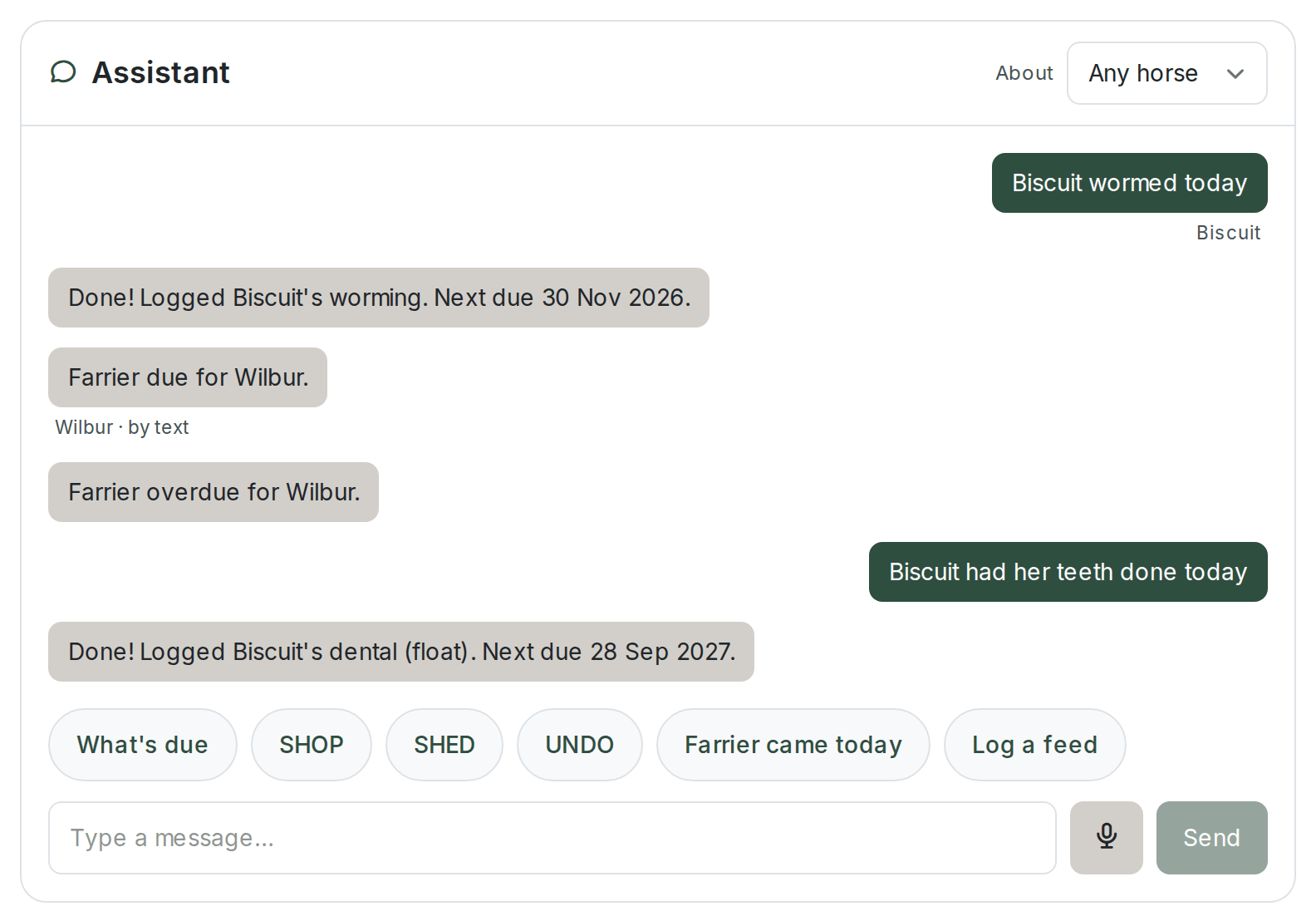 The Assistant chat panel. Its header has an "About" horse selector set to "Any horse". The transcript shows the rider message "Biscuit wormed today" and the reply "Done! Logged Biscuit's worming. Next due 30 Nov 2026.", the reminder texts "Farrier due for Wilbur." and "Farrier overdue for Wilbur.", then "Biscuit had her teeth done today" and the reply "Done! Logged Biscuit's dental (float). Next due 28 Sep 2027.", with messages captioned with the horse they were about. Below the transcript are quick-reply chips (What's due, SHOP, SHED, UNDO, "Farrier came today", "Log a feed") and a "Type a message..." input with a microphone button and a Send button